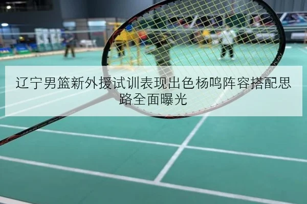 辽宁男篮新外援试训表现出色杨鸣阵容搭配思路全面曝光 | kaiyun